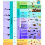 PMF IAS Physical Geography for UPSC 2024-25